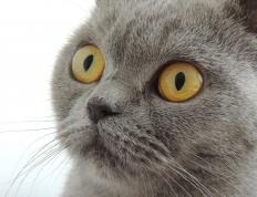 世俱杯-铁血防线锁死南美旋风，关键先生终结比赛悬念—论巴萨式防守与卡塞米罗的决胜瞬间