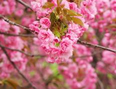 世俱杯参赛资格-星耀焦点夜，萨内魔幻舞步引爆年度对决