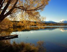 世俱杯赛程-拳怕少壮！莫兰特逆天爆发，上海队力克凯尔特人登顶篮球之巅