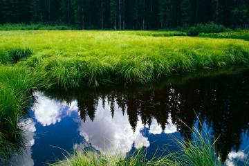 世俱杯2025-隐形火焰，当杰伦格林的存在感穿透湖篮生死战的硝烟