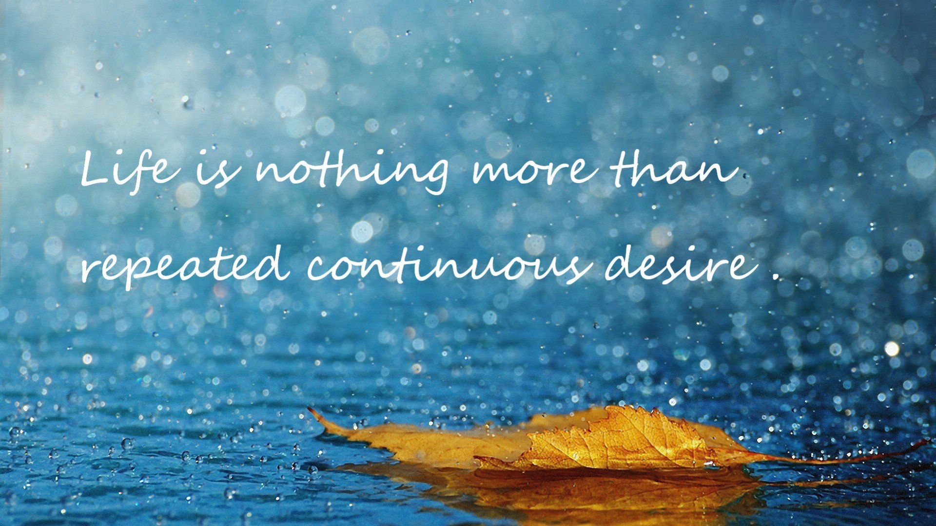 世俱杯分组-猛龙过江,焦灼对垒中,北境铁血如何撕裂东方明珠的钢铁防线