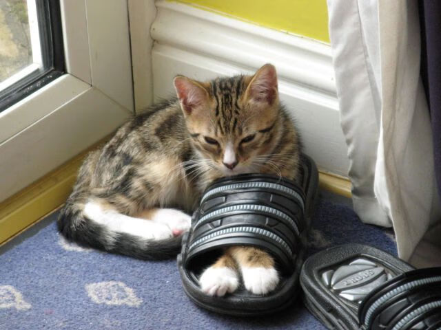 世俱杯时间-铁幕之下,一剑封喉,秘鲁链式防守锁死尤文,奥斯梅恩化身关键先生