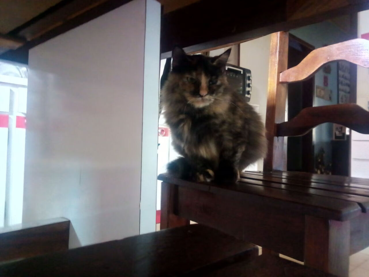 世俱杯赛程-新疆钢铁长城难敌利拉德时间领主，撕裂之城王牌上演终极审判