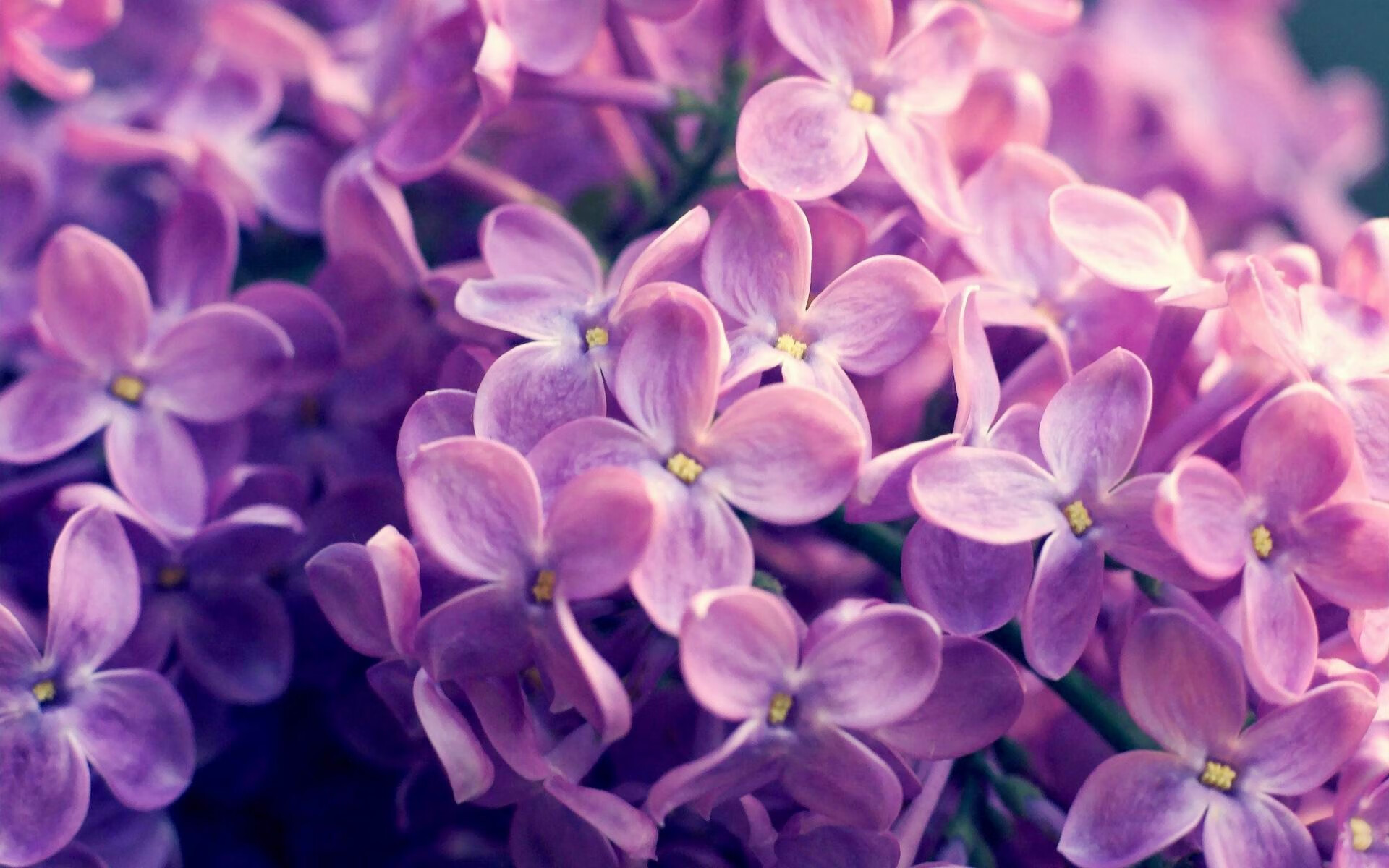 世俱杯参赛资格-加克波进攻端无人可挡，南非对阵瑞典的足球盛宴