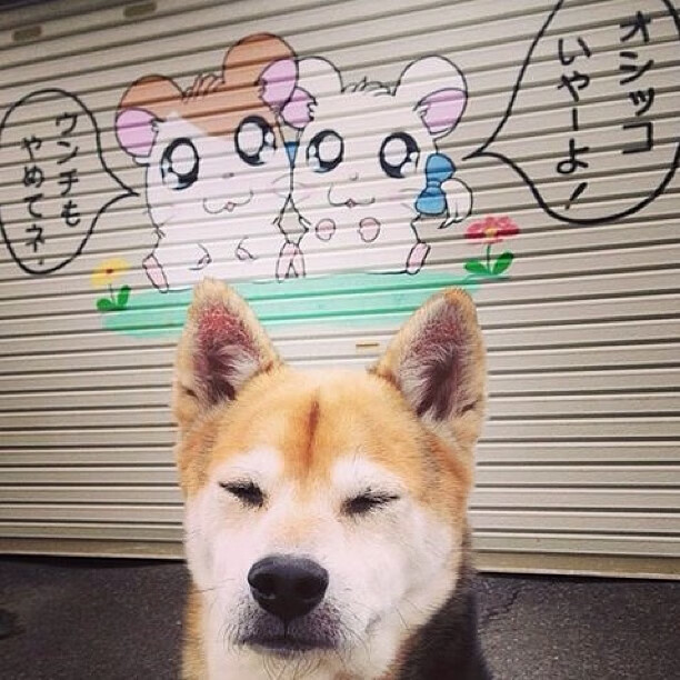 世俱杯改制-吉林队铁壁封锁步行者,马克西独揽风云成全场焦点