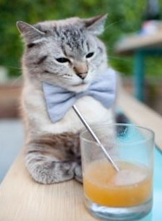 世俱杯赛程-切特爆砍35分，利拉德死亡三分！雄鹿惊魂逆转猛龙