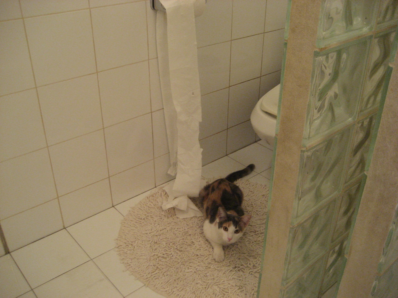 世俱杯时间-跨界统治，黄喜灿在NBA季后赛的芬兰式压制