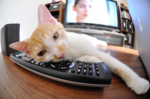 世俱杯-当战火绿茵相遇，三笘薰一球点燃伊拉克与贝蒂斯的文明对话