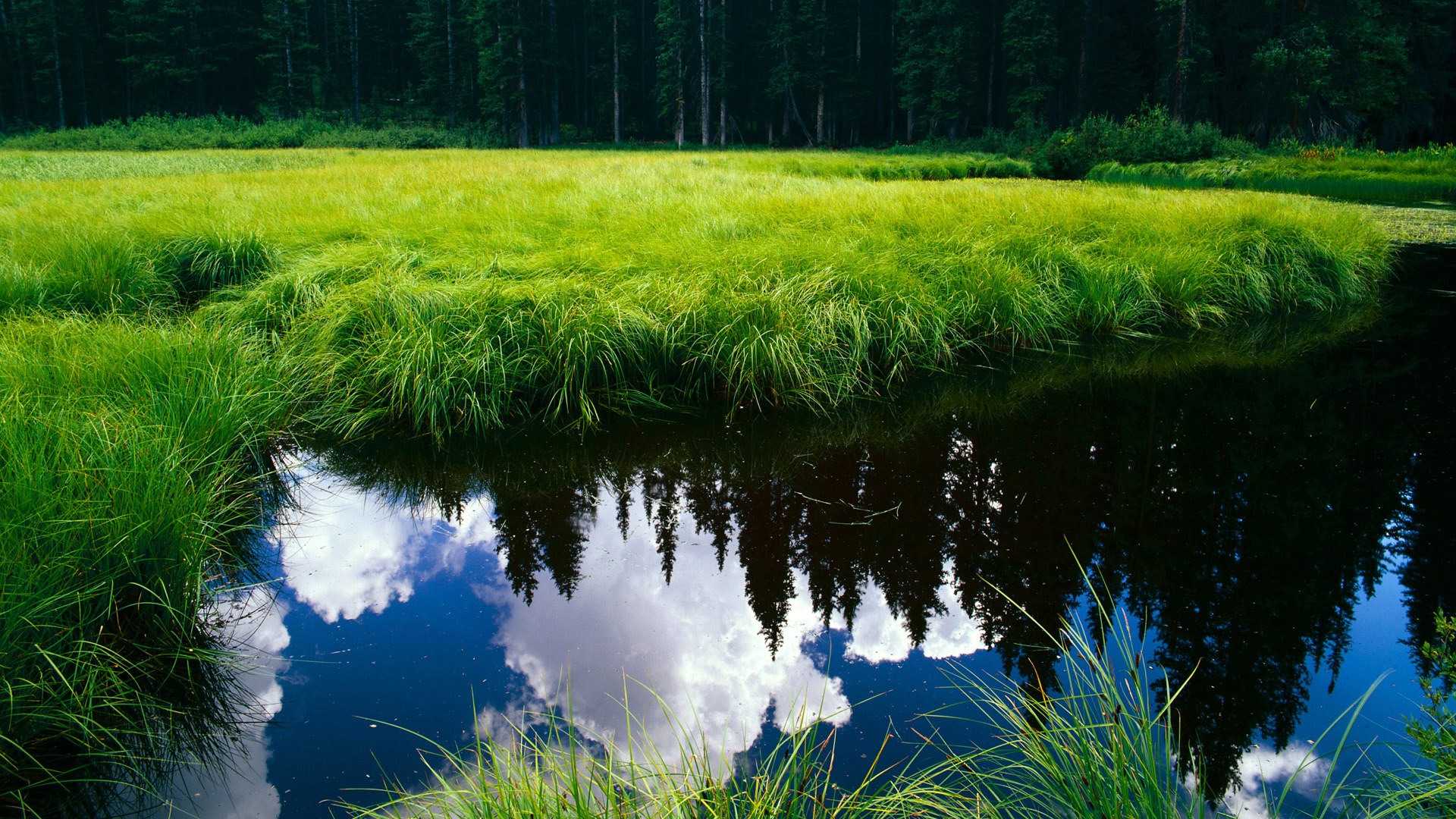 世俱杯2025-隐形火焰,当杰伦格林的存在感穿透湖篮生死战的硝烟